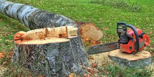 Best Commercial Tree Services  in Lochearn, MD