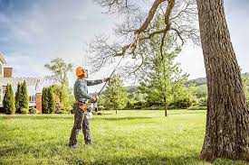 Best Hazardous Tree Removal  in Lochearn, MD