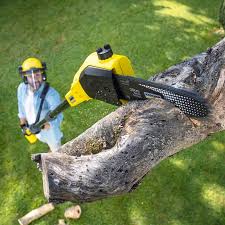 Best Stump Grinding and Removal  in Lochearn, MD